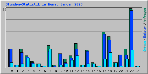 Stunden-Statistik im Monat Januar 2026